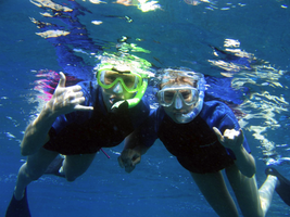 Discipline - Snorkeling